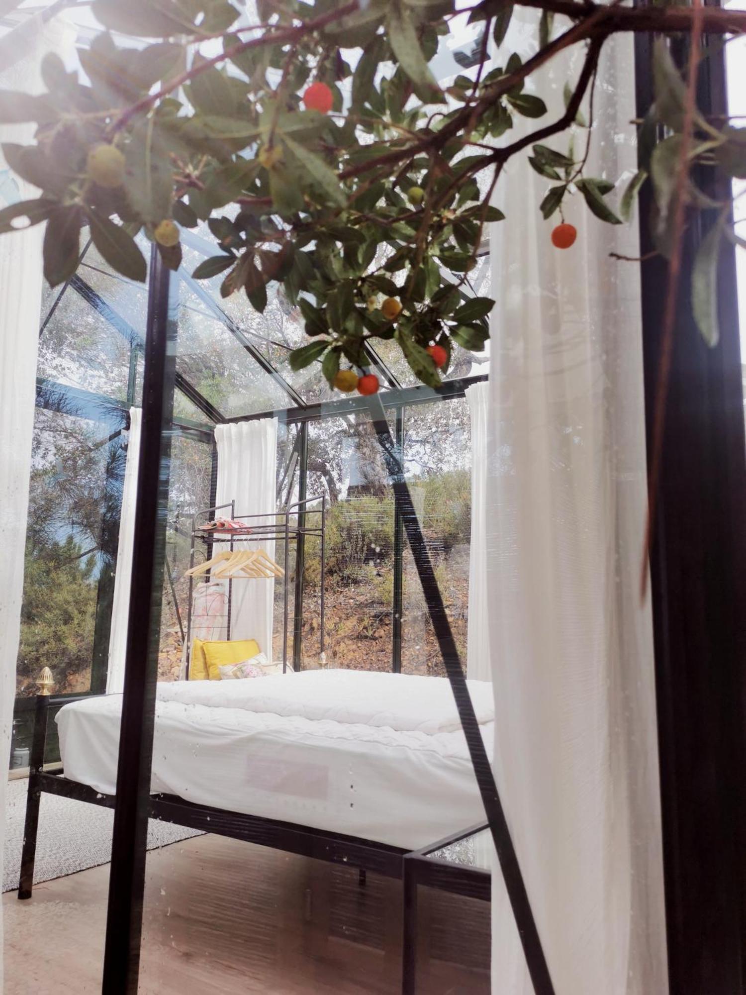 Romantic Skyview Glasshouses Rogil Exterior foto